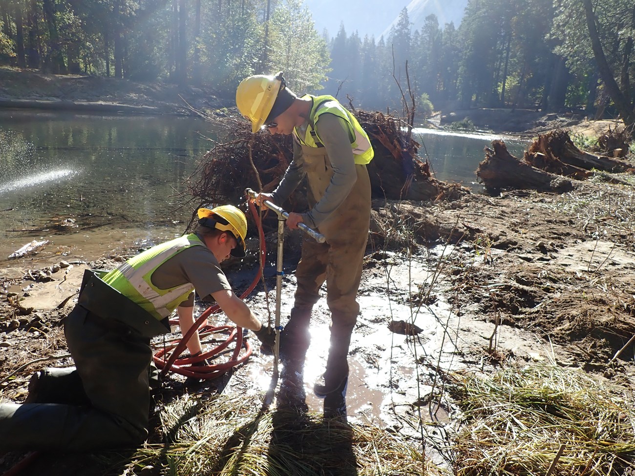 Restoration workers plant willow poles using a hydrodrill.