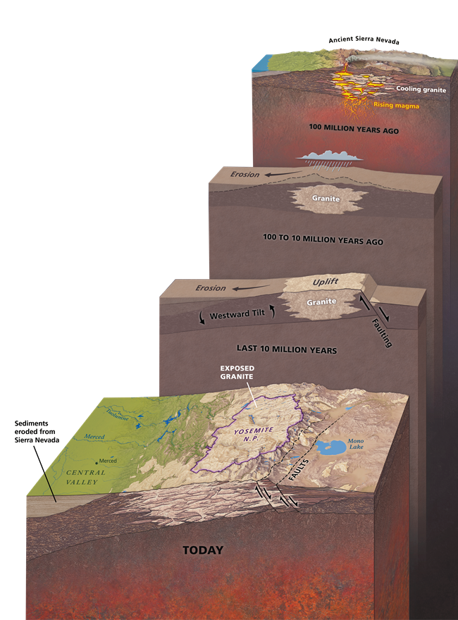 Illustration showing four snapshots in time during formation of the Sierra, including magma turning into granite, then erosion causing uplift and exposure of the granite, over the past 100 million years