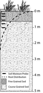 Graphic of a soil column with legend marking soil types