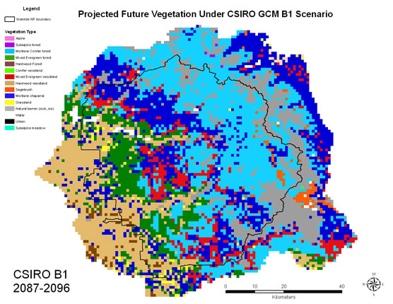 A map uses a multitude of colors to denote different vegetation types