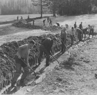 historic b&w image of men working with shovels in ditch