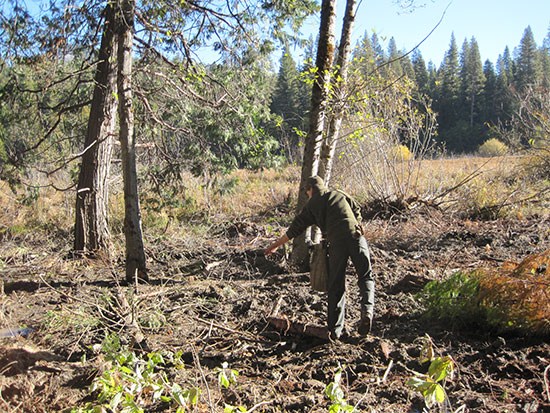 Restoration staff spreading seeds in newly restored area.
