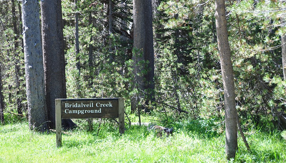 Bridalveil Creek Campground sign along road