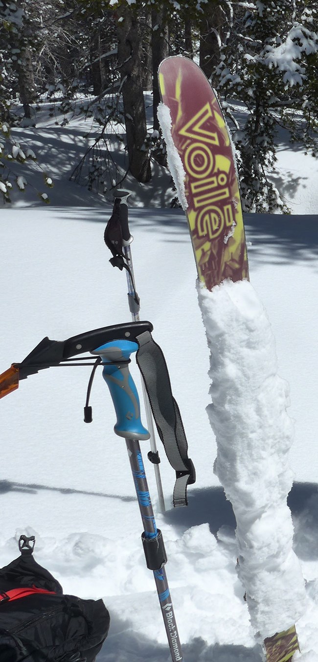 Snow sticking to skis post storm.