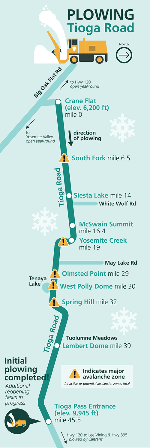 Tioga Road mile 45.5