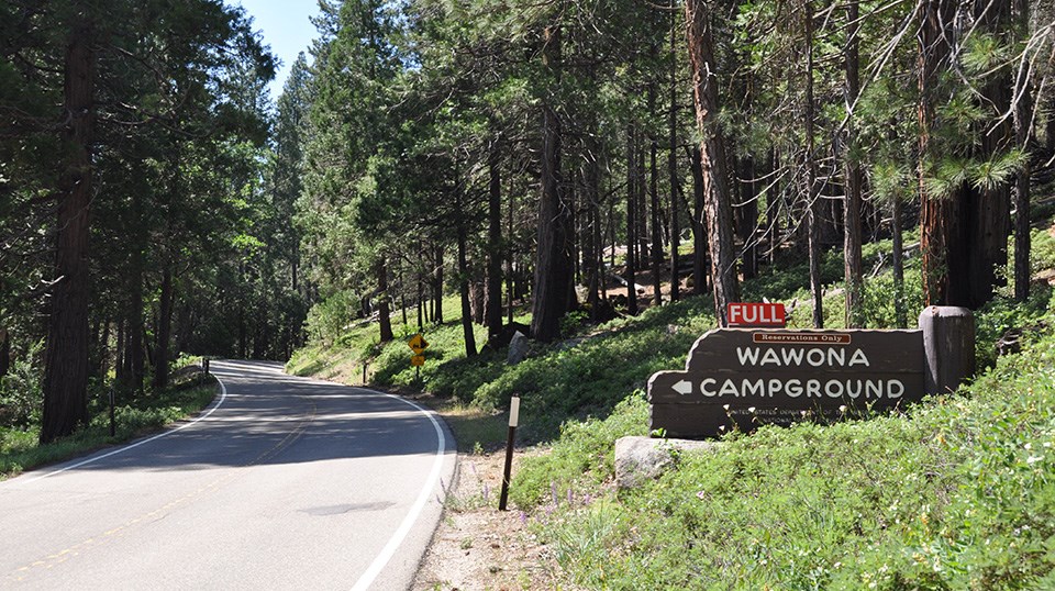 Wawona Campground Sign along the Wawona Road