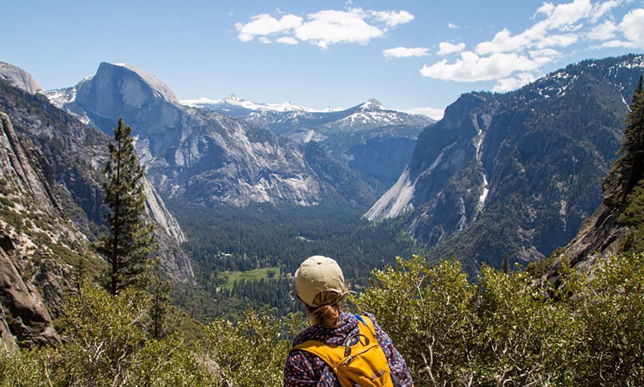 Back of hiker in foreground looking east in Yosemite Valley with Half Dome in background