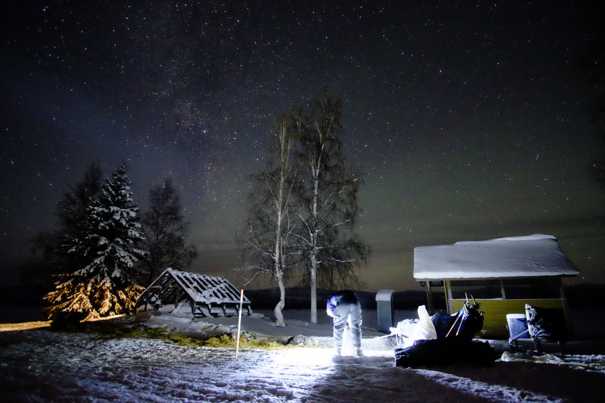 A musher and dog team at night along the Yukon River at Slaven's Roadhouse. Aurora and milky way visible above.