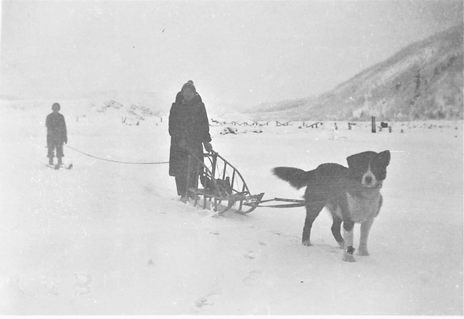 Sled dog Taku pulling Mildred Hendricks on a sled and her son Al Jr on skis
