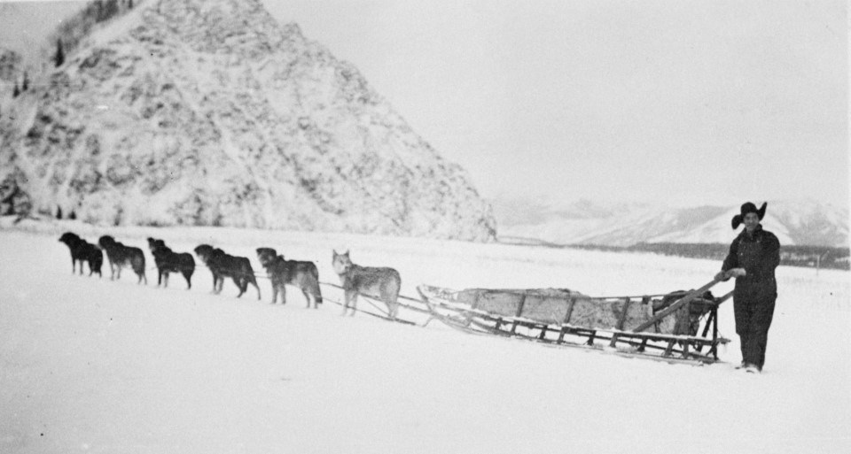 Historic image of Biederman Mail Service, Ed Biederman and his dog sled team, on the Yukon River in front of Eagle Bluff at Eagle, Alaska