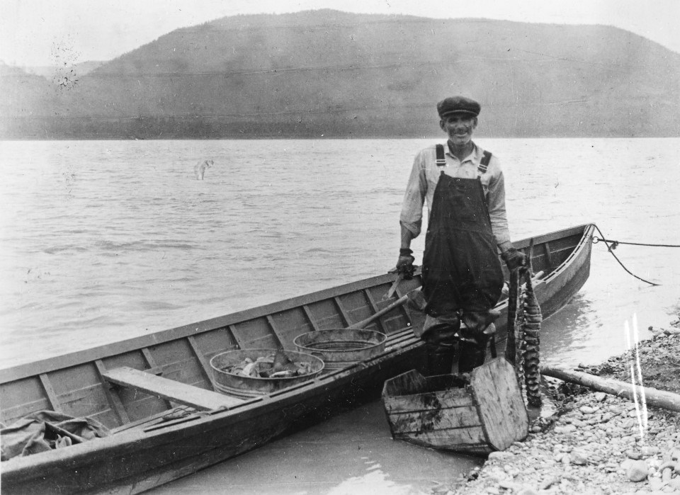Woodchopper Roadhouse owner Jack Welch cutting salmon along the Yukon River in 1934