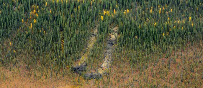 Landslides on the Charley River