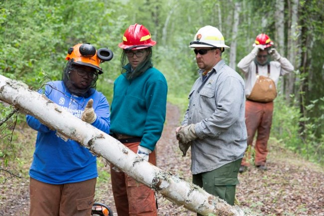 Workers discuss proper cutting techniques on a fallen tree