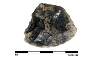 Black obsidian stone tool.