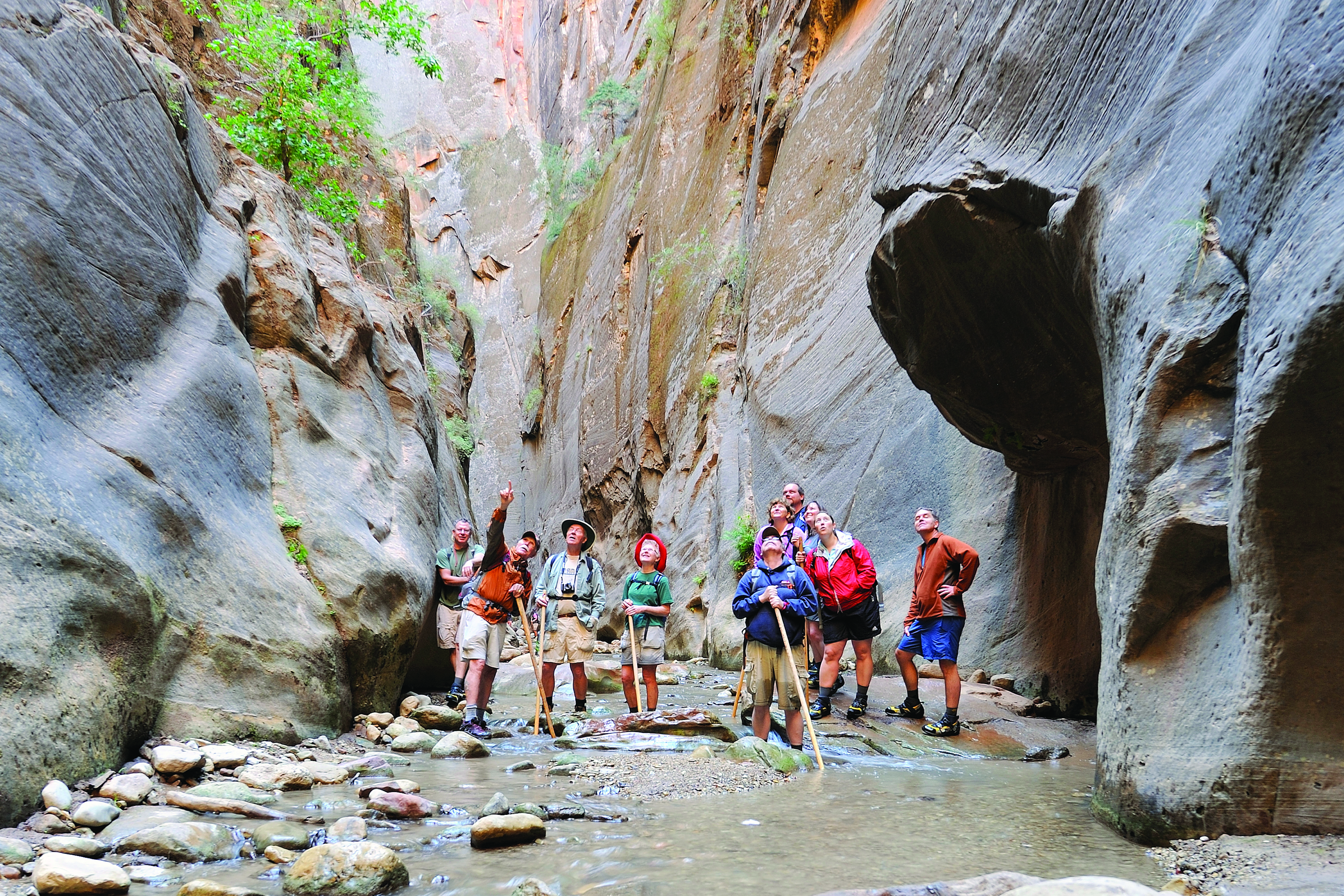 Zion Canyon Field Institute