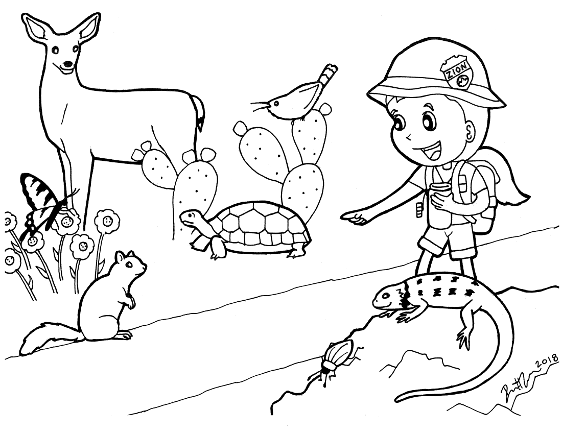 Coloring page of jr ranger and Zion animals
