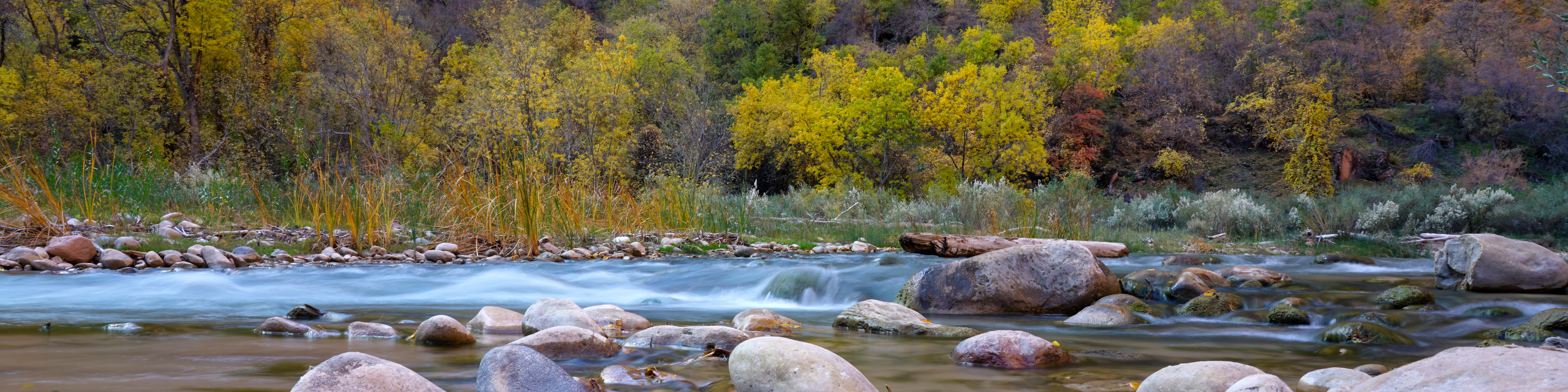 A shallow river flows over and around small boulders. The river is lined with yellow trees and grasses.