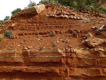Kayenta Formation outcrop