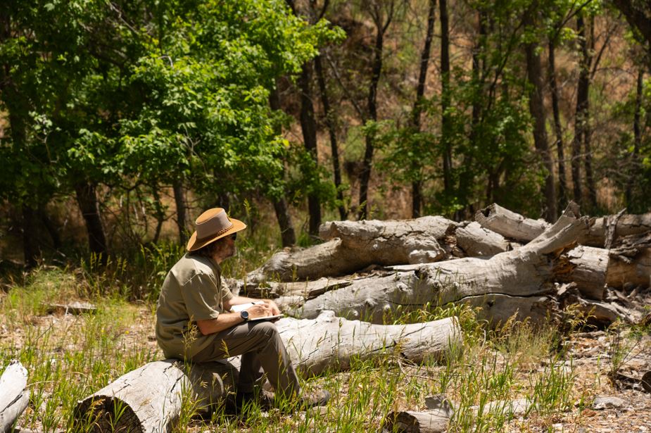 A poet sits on a log looking up into the trees in Zion National Park