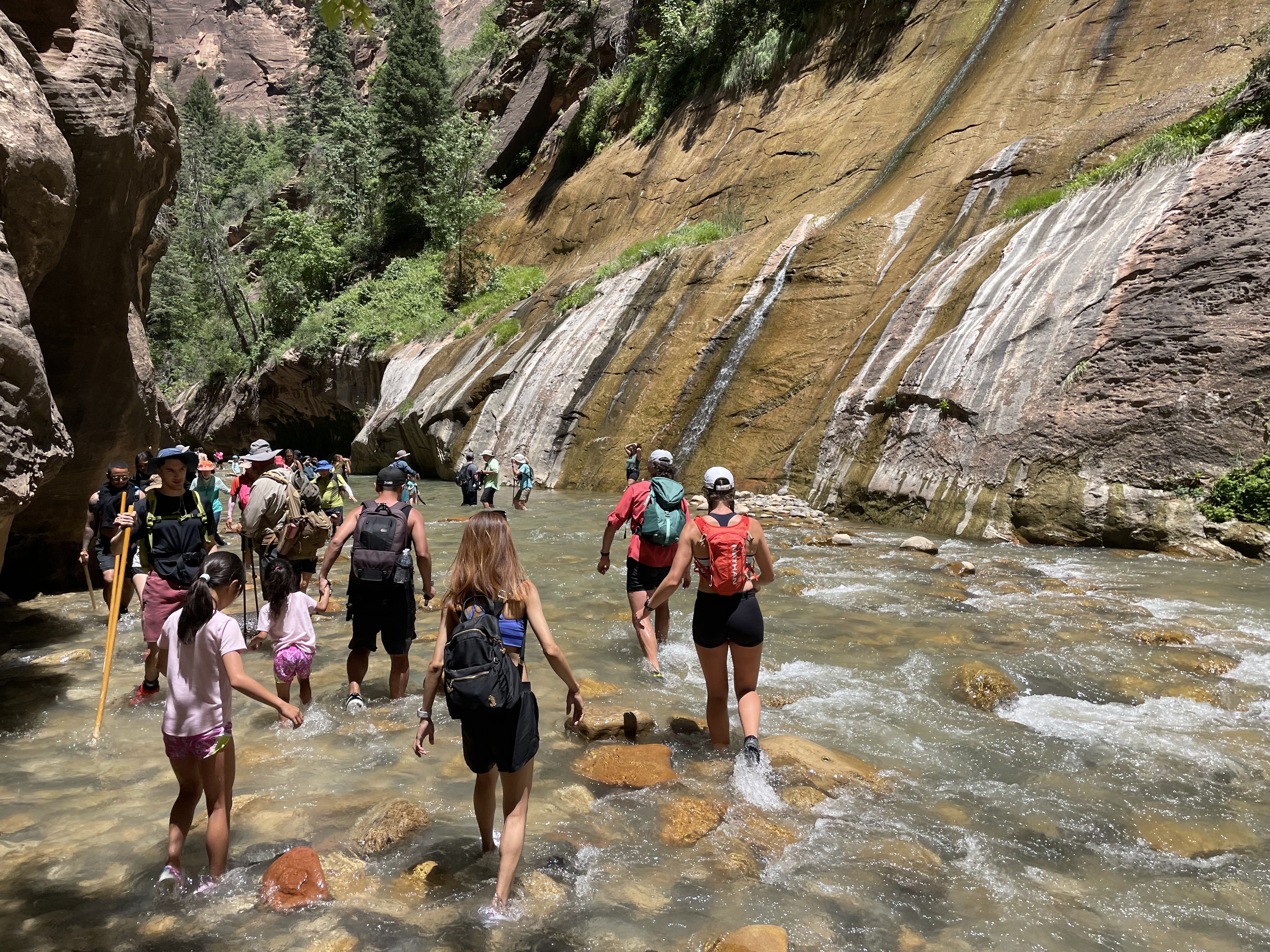 People hiking through a river with a brown sandstone canyon surrounding them