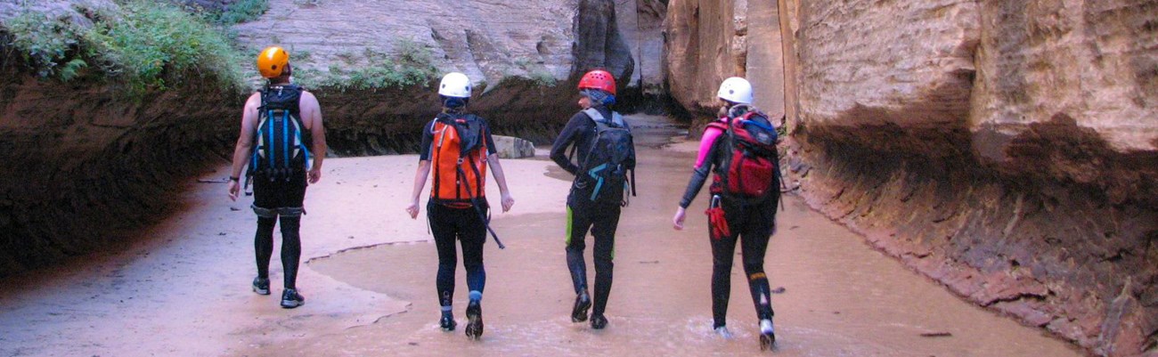 A group of 4 people in canyoneering gear walk through shallow water.