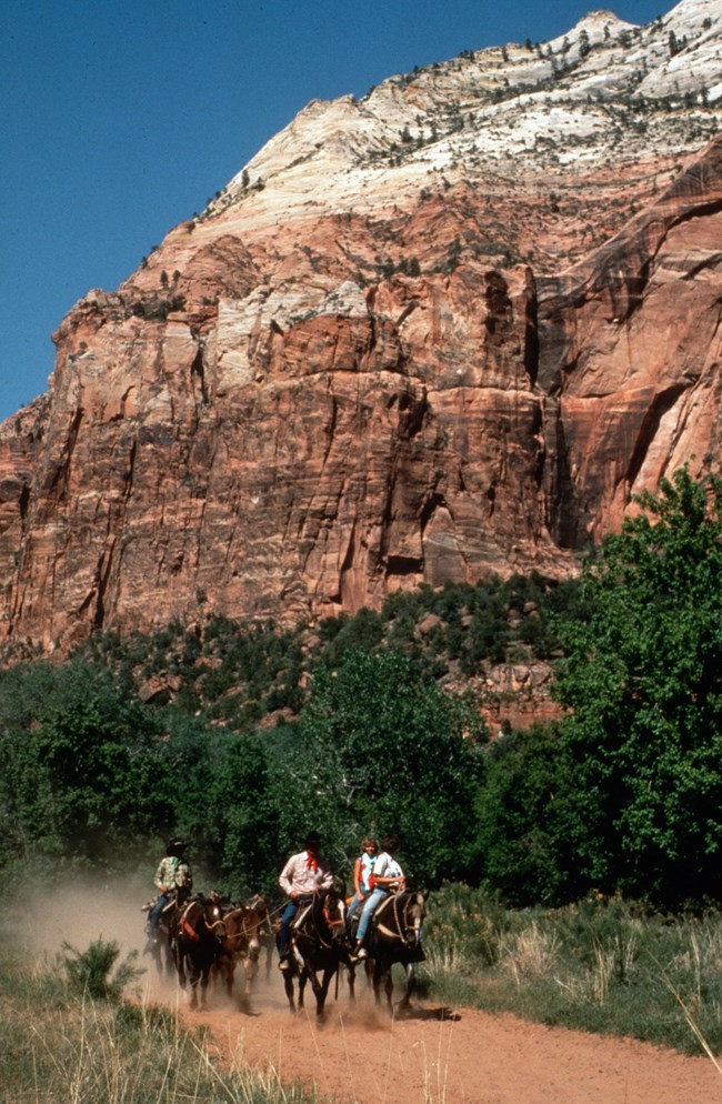 Four people riding horses with red orange and beige sandstone cliffs and green trees in the background