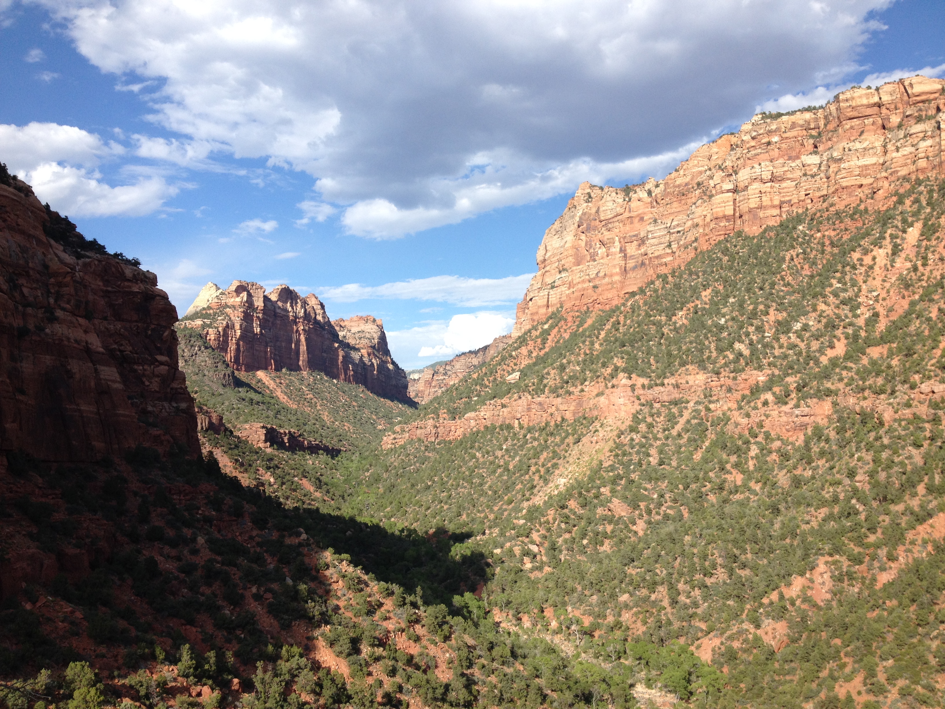 Looking up a tree covered canyon surrounded by steep red sandstone walls.