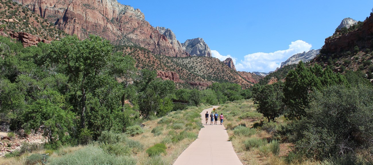 A small hiking group walks along the paved Pa'rus Trail. In the background, sandstone cliffs stand tall.