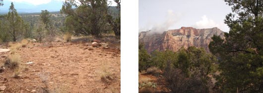 A sandy clearing for a campsite, surrounded by various small evergreen trees.