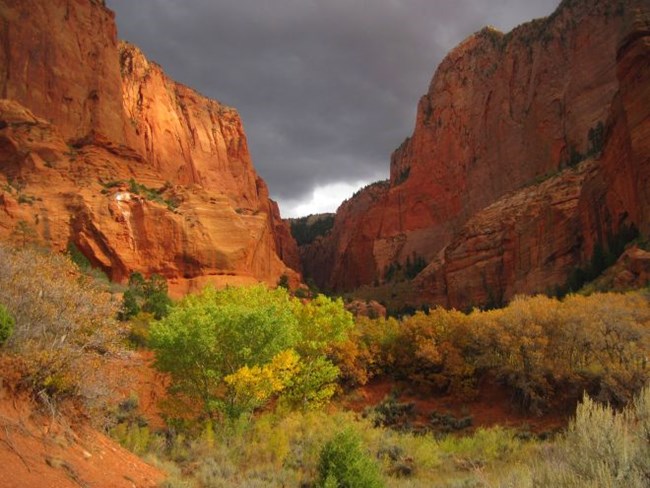 Storm in Kolob Canyons