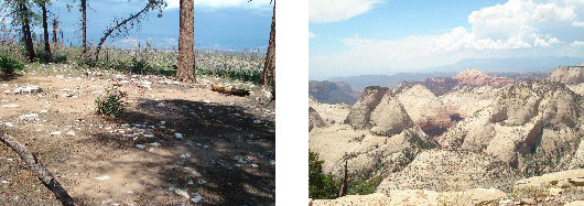 West Rim campsite #5