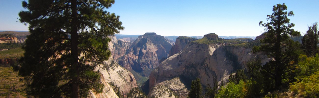 A grand vista over the plateaus of Zion Canyon.