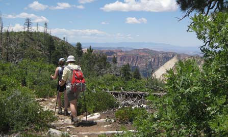 What Is Backpacking? What It is Truly Like To Backpack